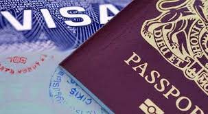 Indian Visa for Dominica Citizens